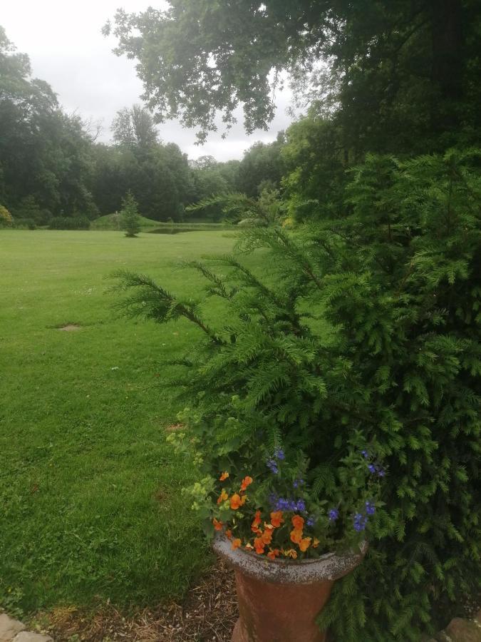 Chambre E Andre Le Domaine Des Jardins De Bracquetuit Eksteriør bilde