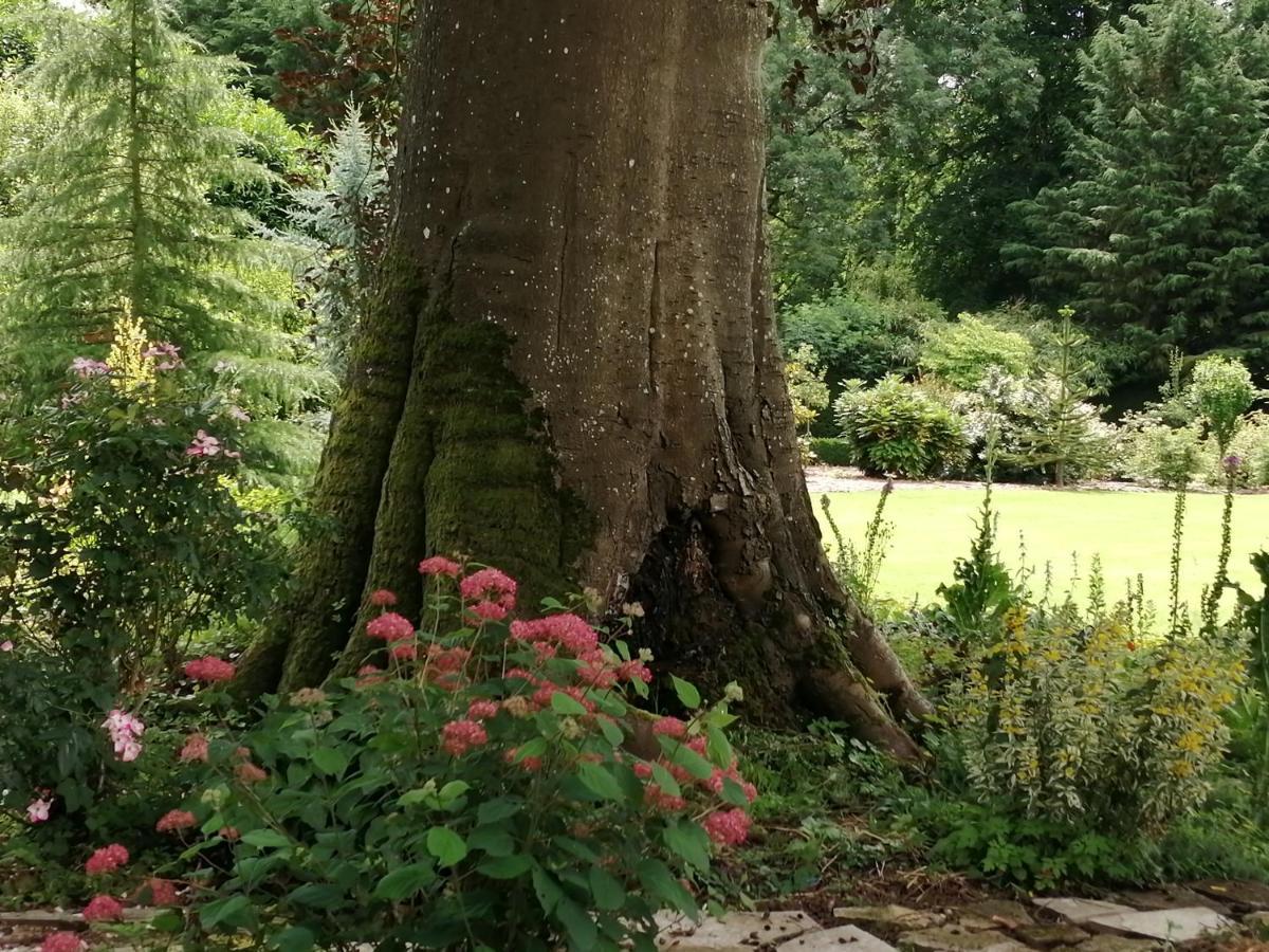 Chambre E Andre Le Domaine Des Jardins De Bracquetuit Eksteriør bilde