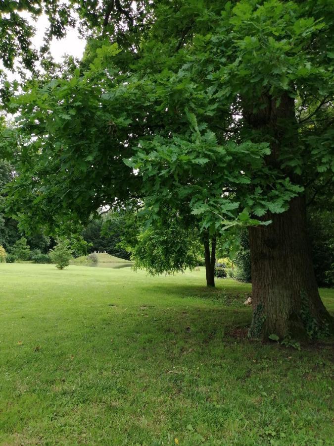 Chambre E Andre Le Domaine Des Jardins De Bracquetuit Eksteriør bilde