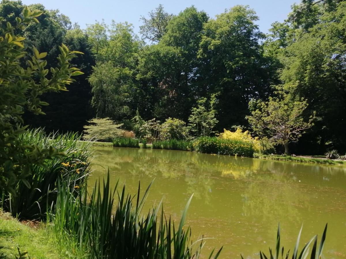 Chambre E Andre Le Domaine Des Jardins De Bracquetuit Eksteriør bilde