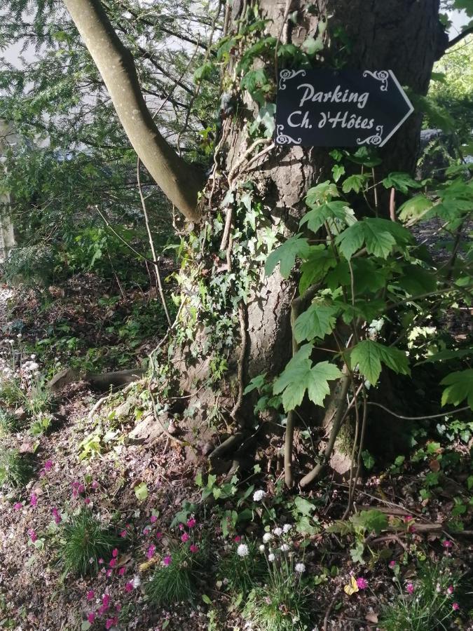 Chambre E Andre Le Domaine Des Jardins De Bracquetuit Eksteriør bilde